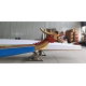 Water sports racing team project, can be customized, twelve-person dragon paddle boat